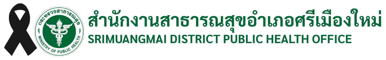 สำนักงานสาธารณสุขอำเภอศรีเมืองใหม่